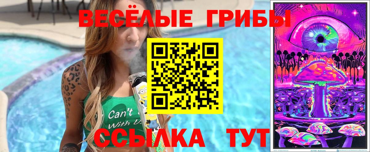 Клин  Галлюциногенные грибы прущие грибы  Вход с VPN 